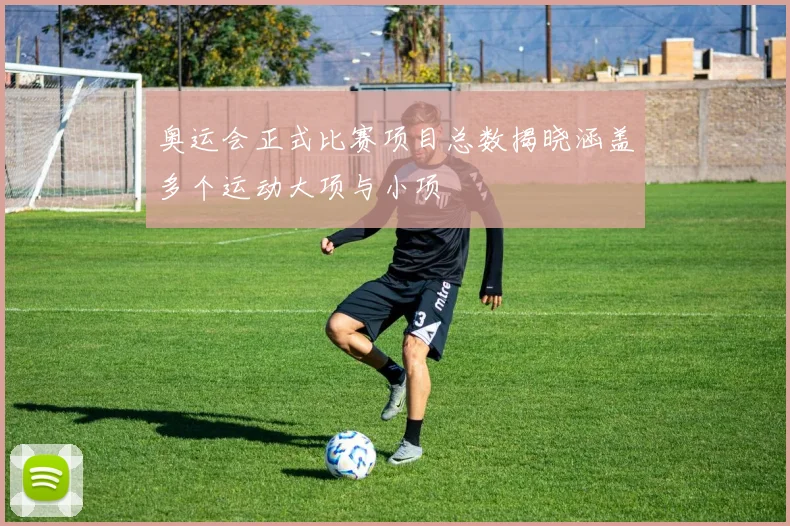 奥运会正式比赛项目总数揭晓涵盖多个运动大项与小项