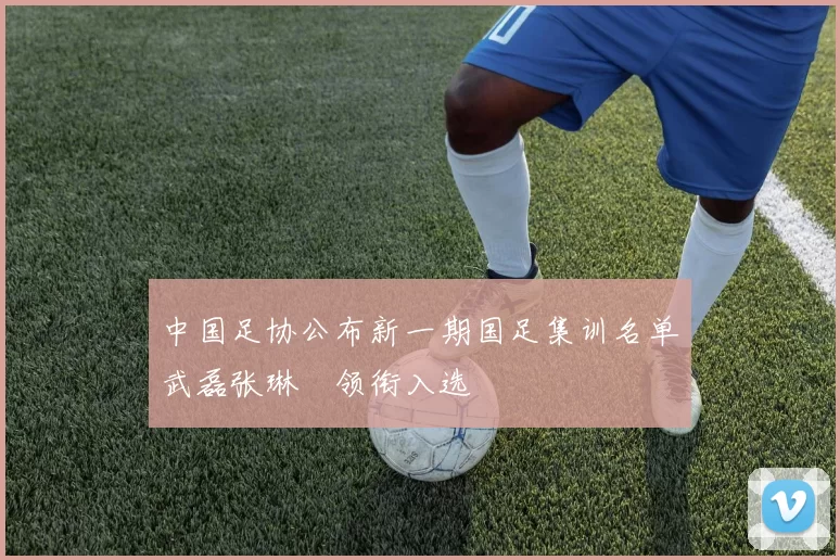 中国足协公布新一期国足集训名单武磊张琳芃领衔入选