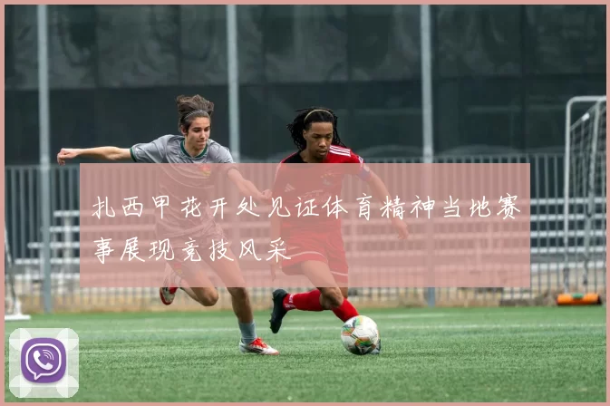 扎西甲花开处见证体育精神当地赛事展现竞技风采