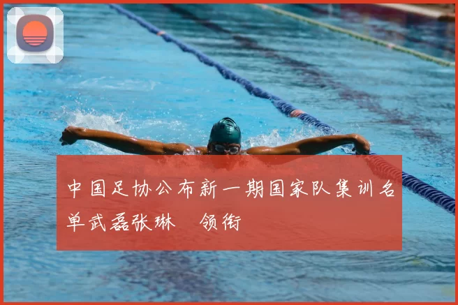 中国足协公布新一期国家队集训名单武磊张琳芃领衔