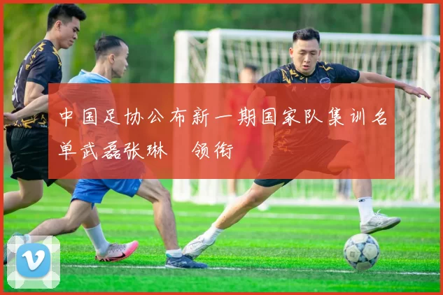 中国足协公布新一期国家队集训名单武磊张琳芃领衔