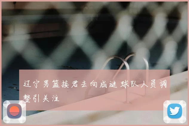 辽宁男篮接君去向成谜 球队人员调整引关注