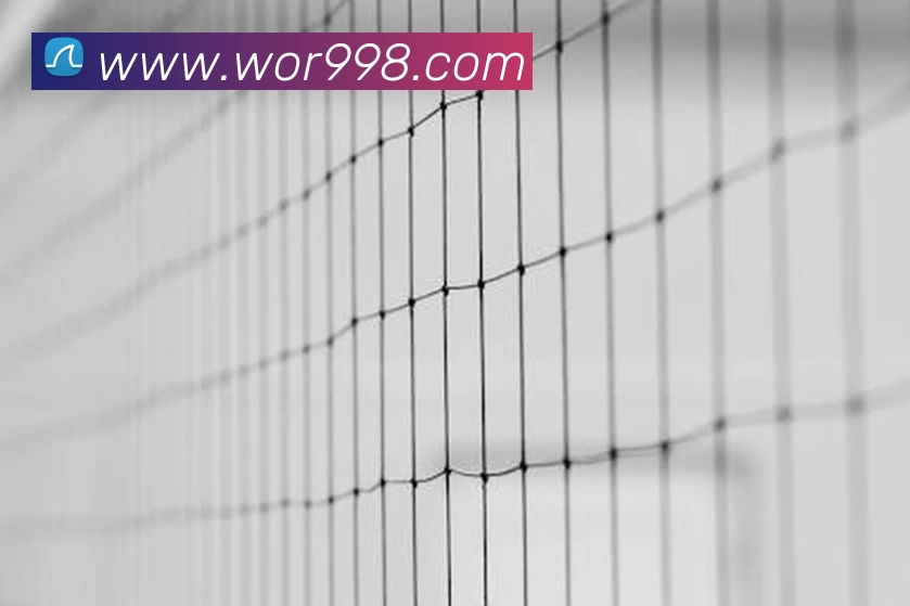 必一·运动(B - Sports)官方网站APP 封面图